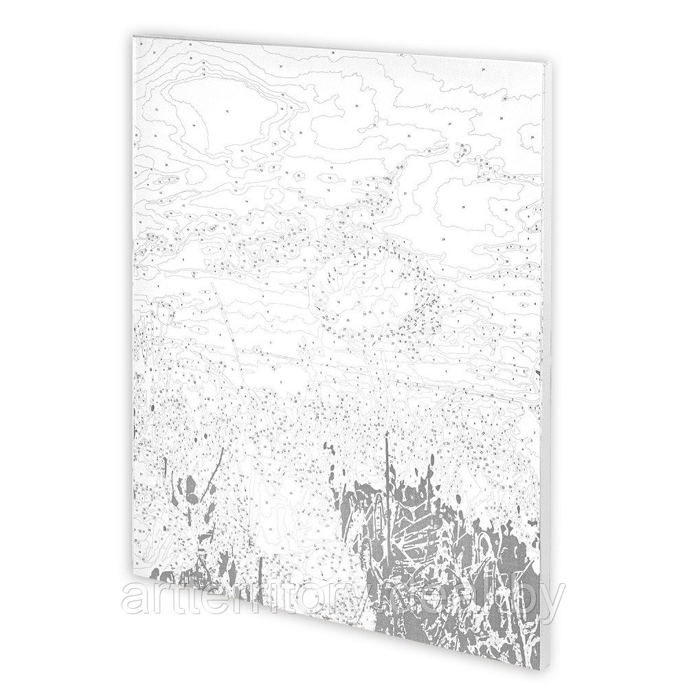 Картина по номерам красками Остров сокровищ Маковое поле, 40х50 см, (на подрамнике) - фото 3 - id-p220101907