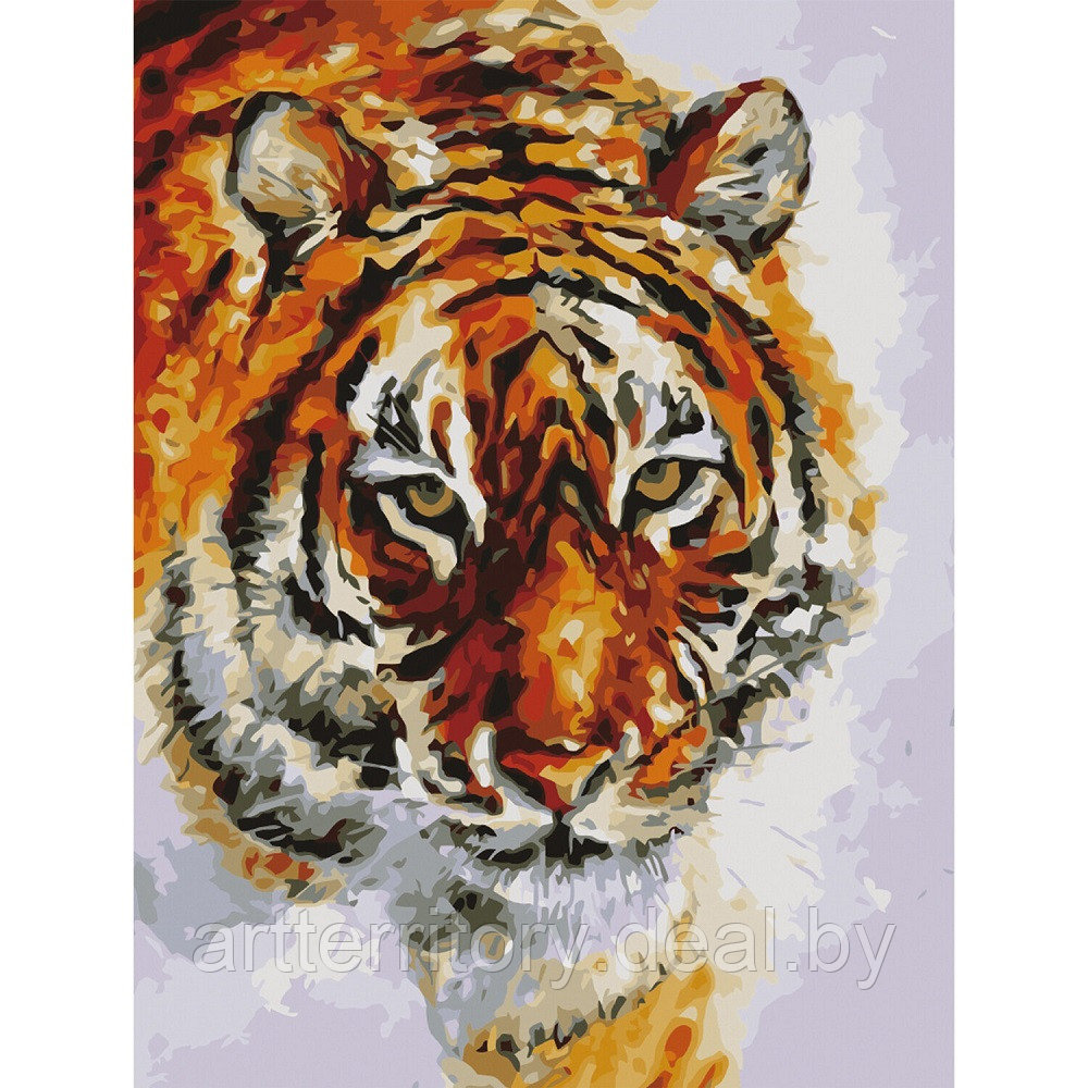 Картина по номерам красками Остров сокровищ Тигр, 40х50 см, (на подрамнике) - фото 1 - id-p220101928