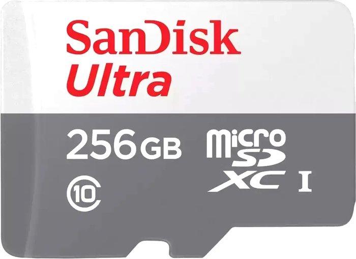 Карта памяти SanDisk Ultra microSDXC SDSQUNR-256G-GN3MN 256GB - фото 1 - id-p220103473
