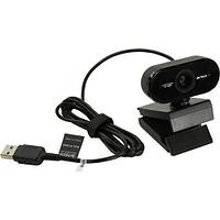 Web-cam A4Tech PK-930HA (матрица 2 Мп, USB, микрофон)