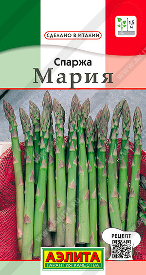 Спаржа Мария 0,5 гр - фото 1 - id-p220115347