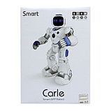 Робот радиоуправляемый, интерактивный "Карл", световые, звуковые эффекты, аккумулятор, фото 10