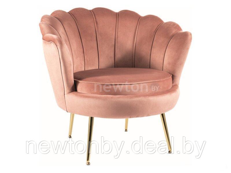 Интерьерное кресло Signal Camellia Velvet Bluvel 52 (античный розовый/золотой) - фото 1 - id-p220128781