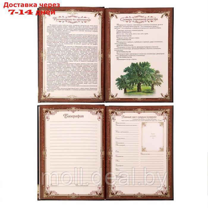 Родословная книга "Книга моей семьи" в шкатулке с деревом, 20 х 26 см - фото 5 - id-p218424254