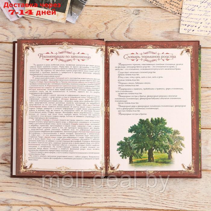 Родословная книга "Семейная летопись" в шкатулке с деревом, 20 х 26 см - фото 6 - id-p218424255