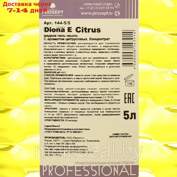 Жидкое гель-мыло эконом-класса Diona Citrus E. Аромат цитрусовых. ПЭТ, 5л - фото 2 - id-p220111224