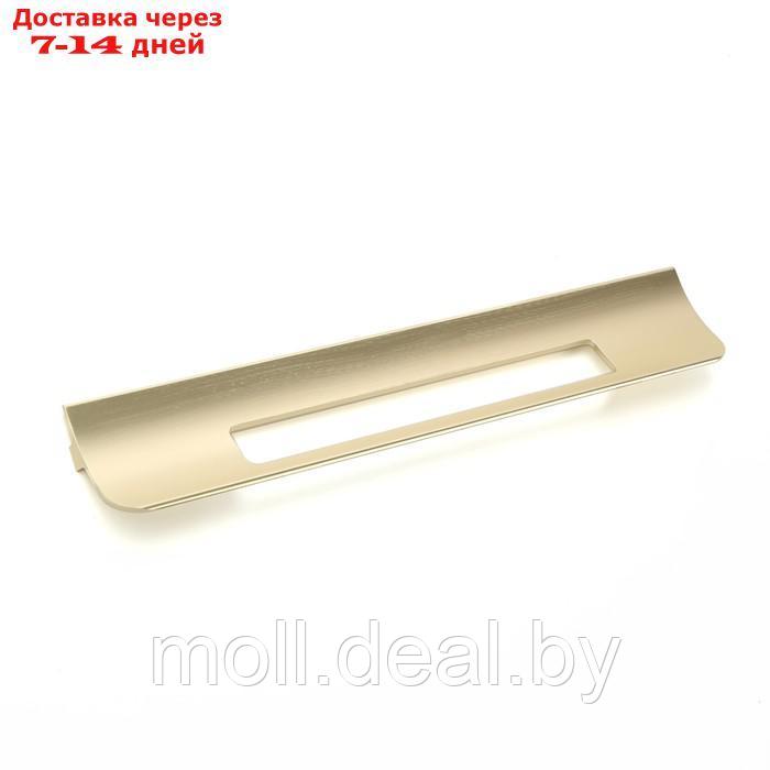 Ручка скоба мебельная RS1402, м/о=192, цвет сатиновое золото - фото 2 - id-p220112630