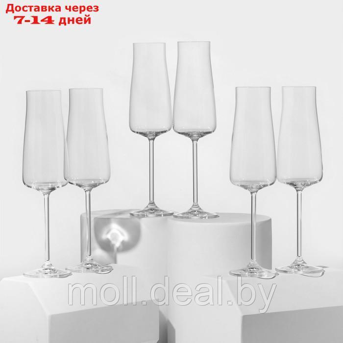 Набор бокалов для шампанского Alex, стеклянный, 210 мл, 6 шт - фото 1 - id-p220108873