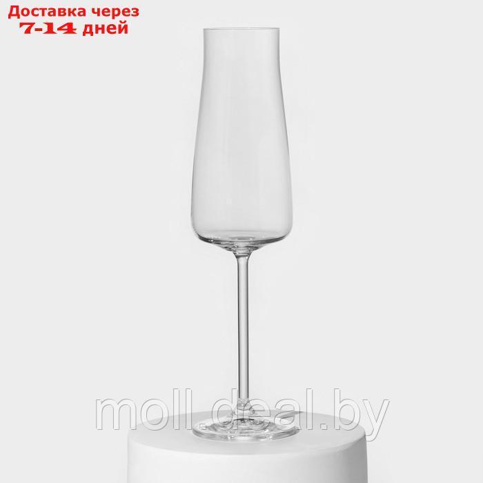 Набор бокалов для шампанского Alex, стеклянный, 210 мл, 6 шт - фото 2 - id-p220108873