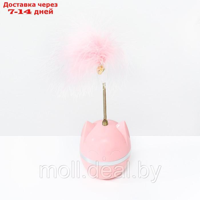 Игрушка-неваляшка "Перьевой взрыв" для кошек, 20 см, розовая - фото 2 - id-p220110842