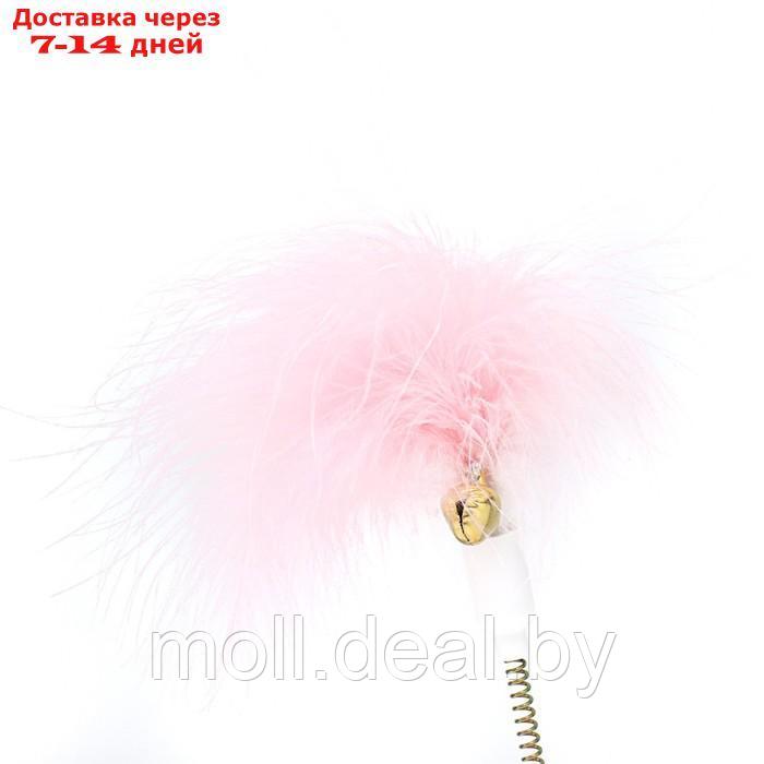 Игрушка-неваляшка "Перьевой взрыв" для кошек, 20 см, розовая - фото 3 - id-p220110842
