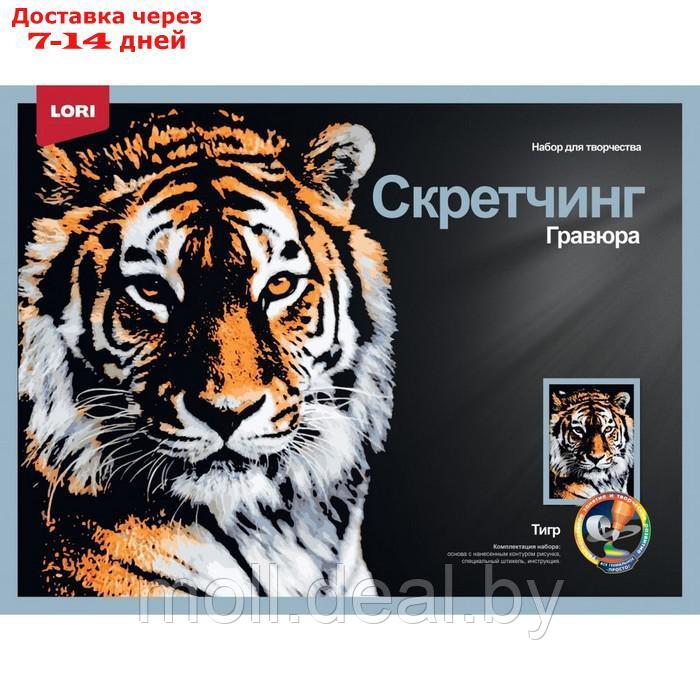 Скретчинг, гравюра 30*40 см Животные "Мудрый тигр" Гр-762