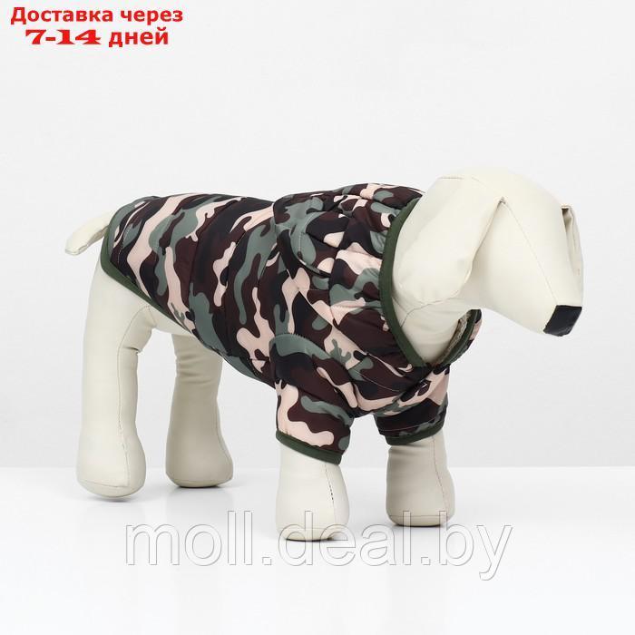 Куртка для собак "Боец" с капюшоном, размер M (ДС 30, ОГ 38 см), камуфляж - фото 1 - id-p220109915