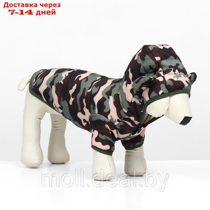 Куртка для собак "Боец" с капюшоном, размер M (ДС 30, ОГ 38 см), камуфляж - фото 4 - id-p220109915