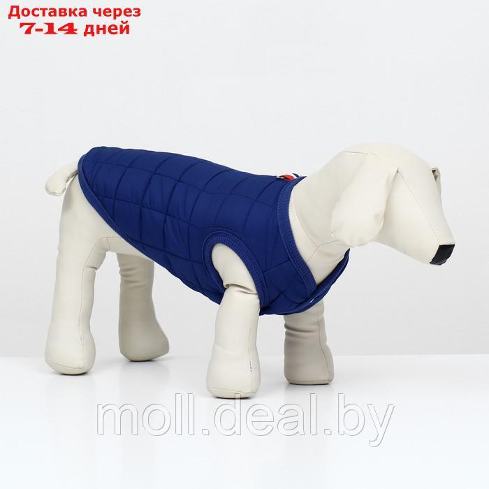 Куртка для собак "Nice", размер XL (ДС 38 см, ОШ 38 см, ОГ 48 см), синяя - фото 1 - id-p220109918