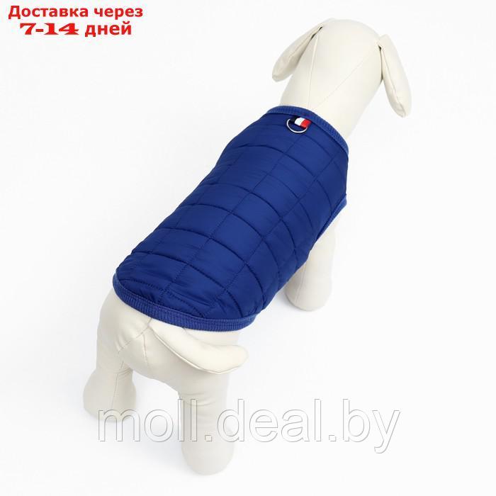 Куртка для собак "Nice", размер XL (ДС 38 см, ОШ 38 см, ОГ 48 см), синяя - фото 3 - id-p220109918