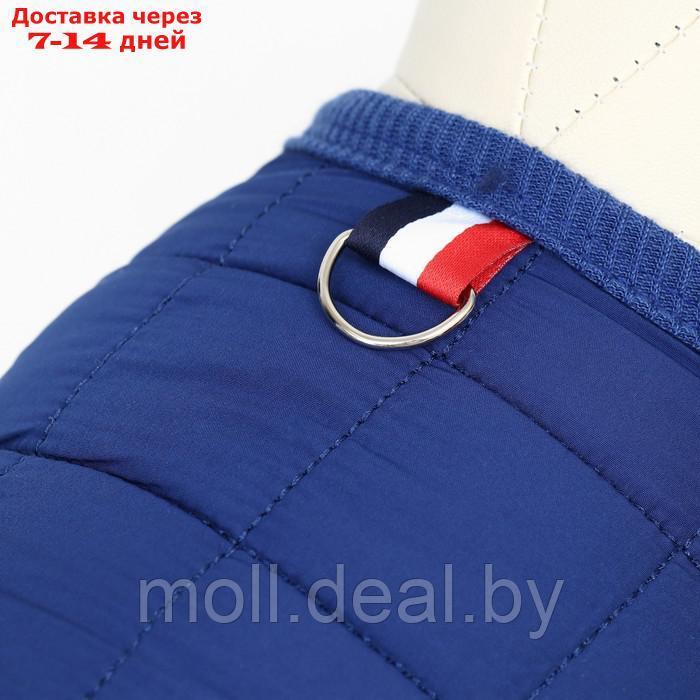 Куртка для собак "Nice", размер XL (ДС 38 см, ОШ 38 см, ОГ 48 см), синяя - фото 4 - id-p220109918