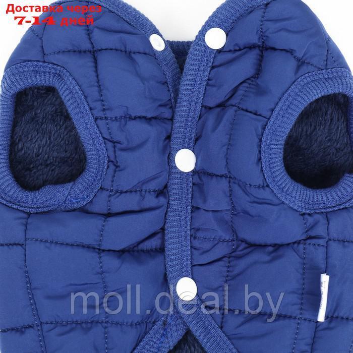 Куртка для собак "Nice", размер XL (ДС 38 см, ОШ 38 см, ОГ 48 см), синяя - фото 9 - id-p220109918