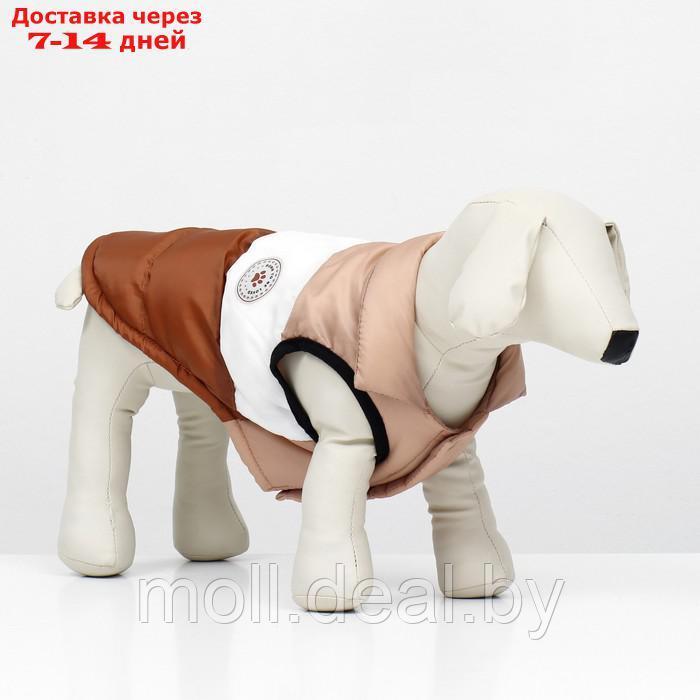 Куртка для собак "Шоколад", размер S (ДС 26, ОГ 38, ОШ 27), бежево-коричневая - фото 1 - id-p220109919