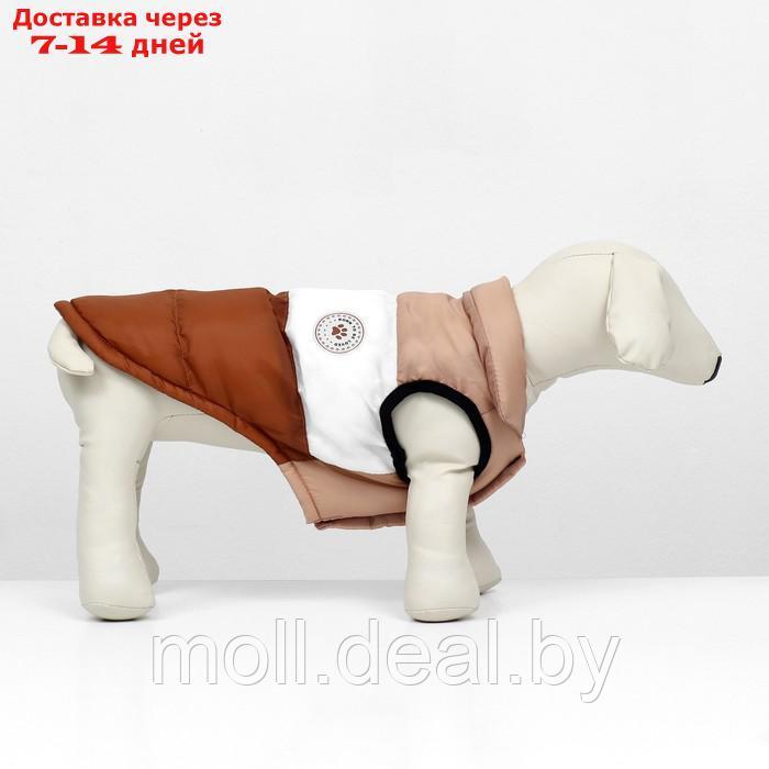Куртка для собак "Шоколад", размер S (ДС 26, ОГ 38, ОШ 27), бежево-коричневая - фото 2 - id-p220109919