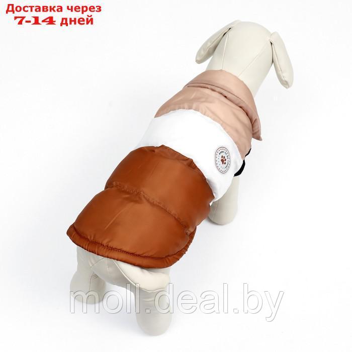 Куртка для собак "Шоколад", размер S (ДС 26, ОГ 38, ОШ 27), бежево-коричневая - фото 3 - id-p220109919