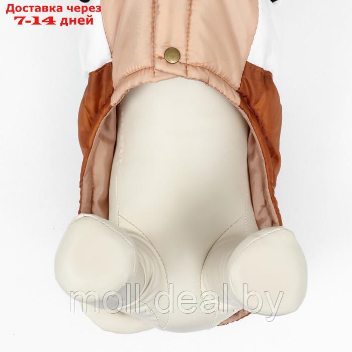 Куртка для собак "Шоколад", размер S (ДС 26, ОГ 38, ОШ 27), бежево-коричневая - фото 5 - id-p220109919
