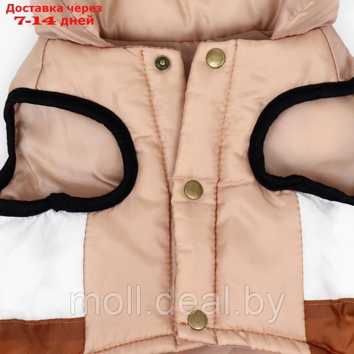 Куртка для собак "Шоколад", размер S (ДС 26, ОГ 38, ОШ 27), бежево-коричневая - фото 8 - id-p220109919