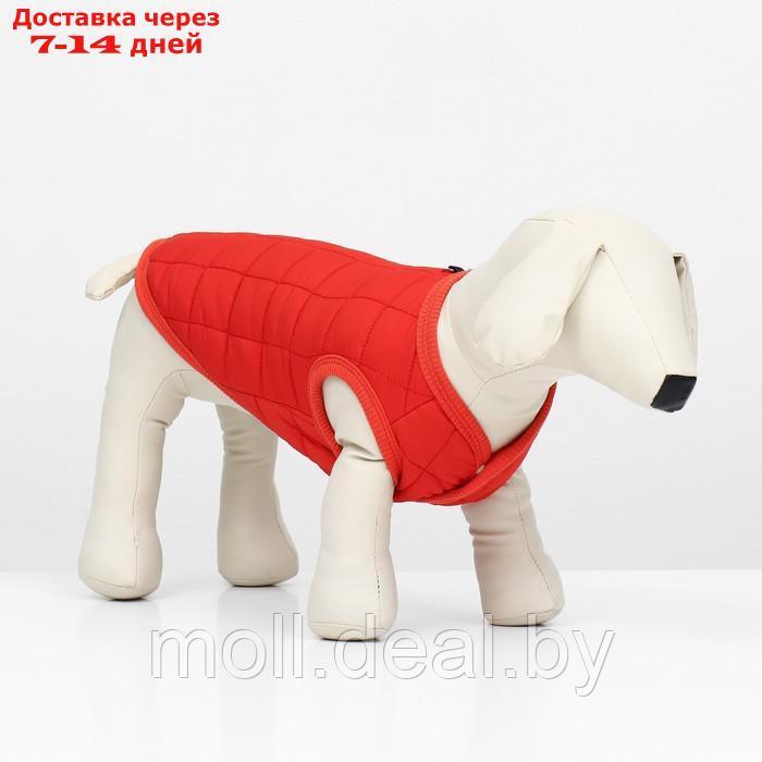 Куртка для собак "Nice", размер XL (ДС 38 см, ОШ 38 см, ОГ 48 см), красная - фото 1 - id-p220109929
