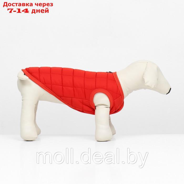 Куртка для собак "Nice", размер XL (ДС 38 см, ОШ 38 см, ОГ 48 см), красная - фото 2 - id-p220109929