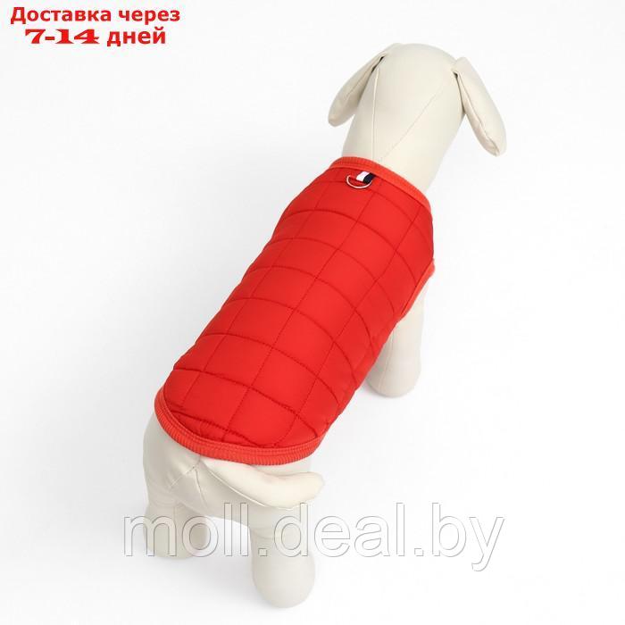 Куртка для собак "Nice", размер XL (ДС 38 см, ОШ 38 см, ОГ 48 см), красная - фото 3 - id-p220109929