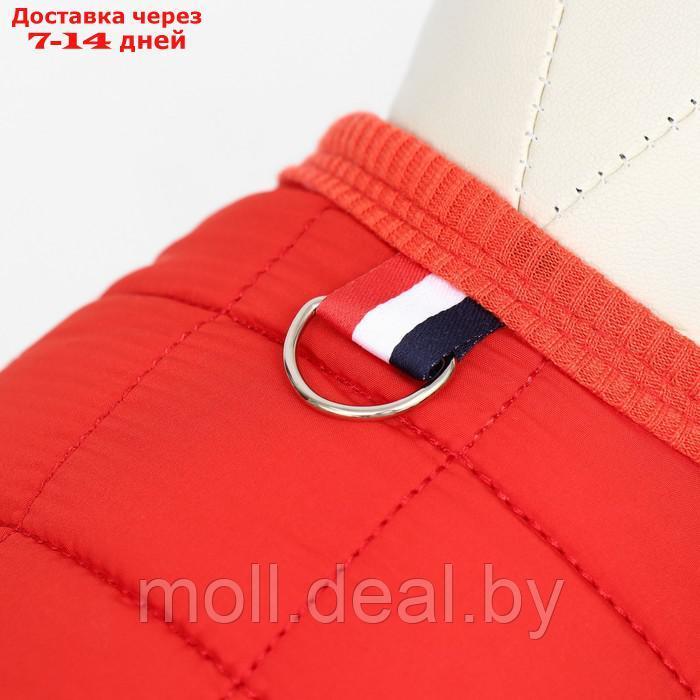 Куртка для собак "Nice", размер XL (ДС 38 см, ОШ 38 см, ОГ 48 см), красная - фото 4 - id-p220109929
