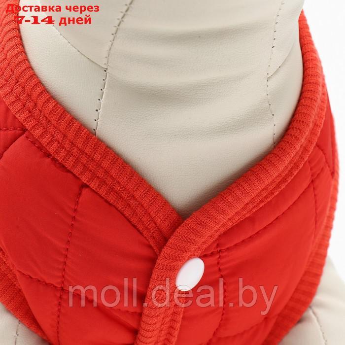 Куртка для собак "Nice", размер XL (ДС 38 см, ОШ 38 см, ОГ 48 см), красная - фото 5 - id-p220109929