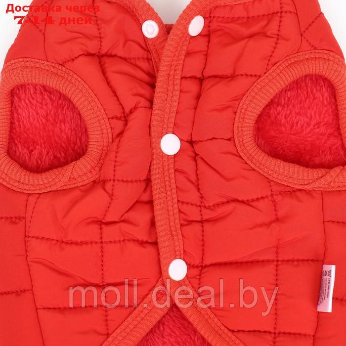 Куртка для собак "Nice", размер XL (ДС 38 см, ОШ 38 см, ОГ 48 см), красная - фото 9 - id-p220109929
