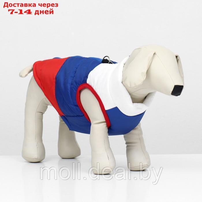 Куртка для собак "Патриот", размер L (ДС 35, ОГ 51 см) - фото 1 - id-p220109932