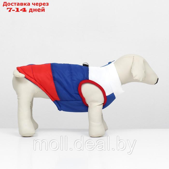 Куртка для собак "Патриот", размер L (ДС 35, ОГ 51 см) - фото 2 - id-p220109932