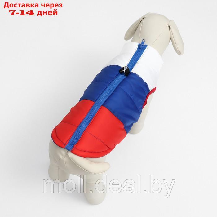 Куртка для собак "Патриот", размер L (ДС 35, ОГ 51 см) - фото 3 - id-p220109932