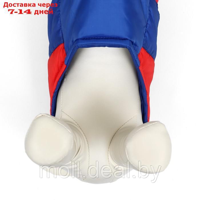 Куртка для собак "Патриот", размер L (ДС 35, ОГ 51 см) - фото 6 - id-p220109932