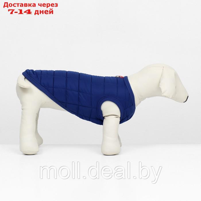 Куртка для собак "Nice", размер XS (ДС 20 см, ОШ 20 см, ОГ 28 см), синяя - фото 2 - id-p220109939
