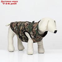Куртка для собак "Защитник", размер ХL (ДС 39, ОГ 54 см)
