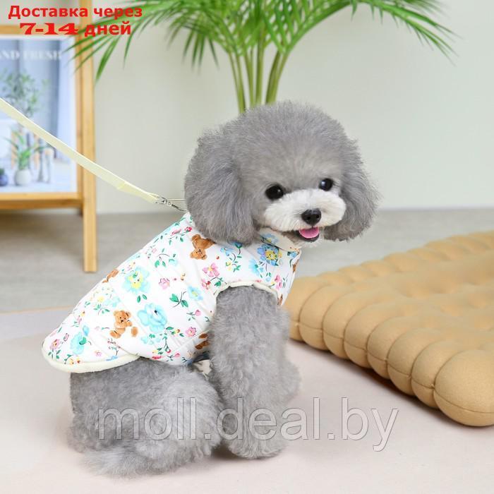 Куртка для собак "Ласка"с поводком, размер S - фото 1 - id-p220109960