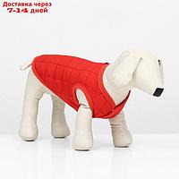 Куртка для собак "Nice", размер L (ДС 35 см, ОШ 35 см, ОГ 42 см), красная