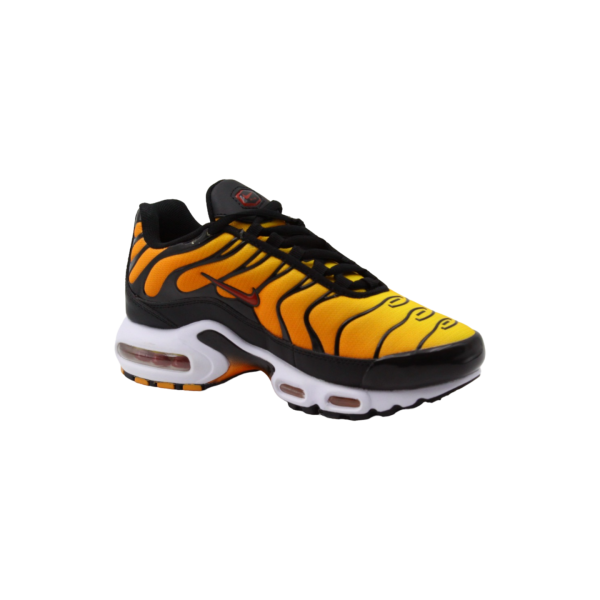 Nike air max tn Tiger - фото 3 - id-p156342022