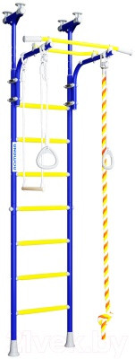 Детский спортивный комплекс Romana R5 01.20.7.06.490.03.00-24 (синяя слива)