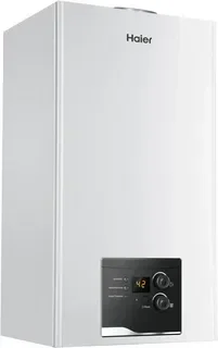 Настенный газовый котел Haier Urban 2.24 TM, фото 2