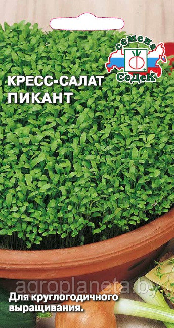 Салат ПИКАНТ (кресс) 1 г: семена, семена овощных культур, семенами ...