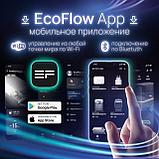 Портативная зарядная станция EcoFLow Delta 2 Max, фото 10