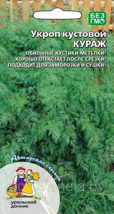 Укроп КУРАЖ (кустовой), 1.5 г - фото 1 - id-p220170773