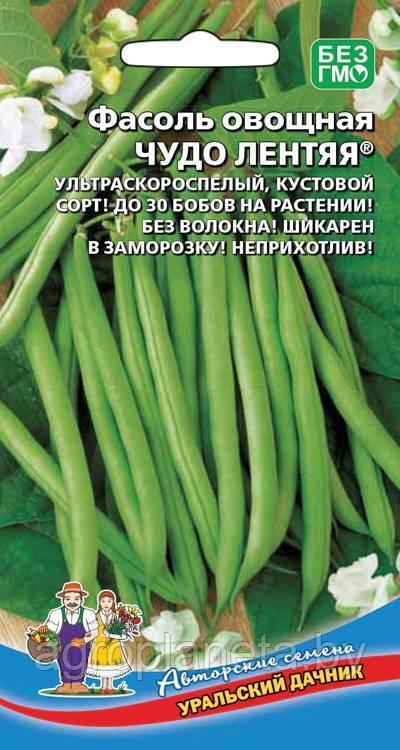 Фасоль овощная ЧУДО ЛЕНТЯЯ®, 10 шт - фото 1 - id-p220170839