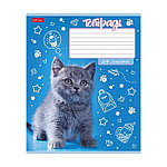 Тетради в линейку