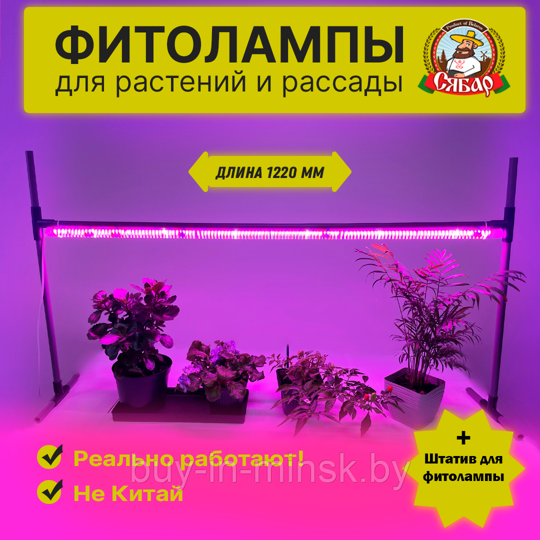 Фитолампа "Сябар светлячок 1220" + Подставка